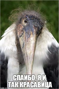 11 способов стать еще красивее, несмотря на временные трудности