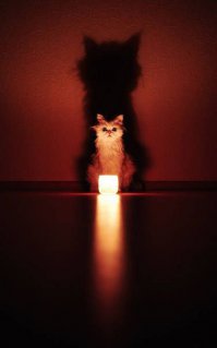 Вот что значат опыт и смекалка