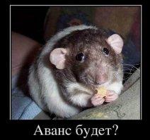 Посленовогоднее: