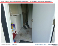 Смешные комментарии из соцсетей