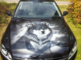 А это на моем VW Passat!