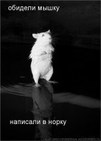 сравнил х_й с пальцем