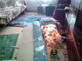 Это вполне может быть и деревня, а на фото не последствия кризиса, а последствия дичайших морозов. Для деревенской местности - вполне нормальная ситуация.