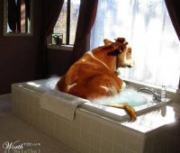 Она уже заждалась вас)