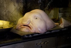 вот так я это увидел)