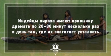Так вон оно чо - пираха, оказывается.
