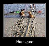 Очередная подборка автоприколов