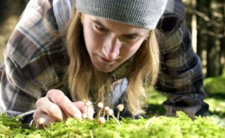 Грибное царство - 34 дивных фотографий