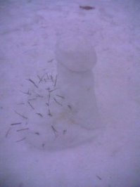 Снежная любовь