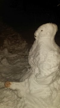 Снежная любовь