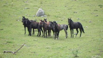 Сам фоткал.
КРЧ.