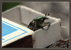 Эти дома не слишком привлекательны снаружи, но невероятно уютны внутри