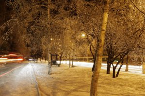    Зима — это шедевр на фотографии