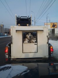 четких пацанов по этапу погнали...