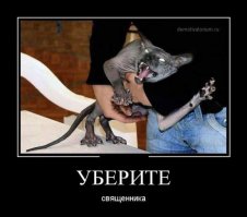 Картинки с надписями 