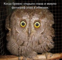 А моё бревно ещё говорит доброе утро.
Да и вообще разговаривает.
