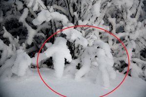 пьяный махач. хотя я мож один вижу, выгляжу щас придурком