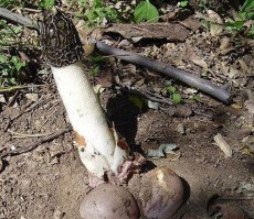 до и после))