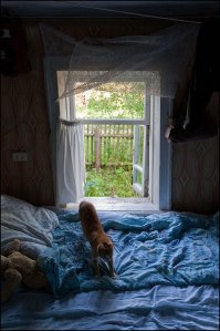 Шикарный виды из окна