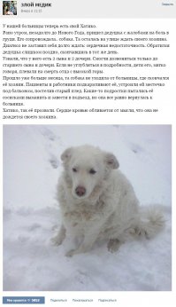 глядя на пса - слезы на глазах наворачиваются