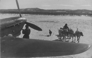 Как получить оленьи права