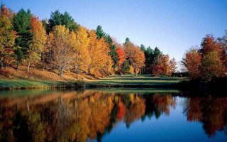 На траве роса переливается.
Журавли поют где-то вдали.
Вся в цвету черемуха склоняется,
 Плачут ивы, шепчут тополи.
Дятлов вкрадтчивые стуки рассыпаются,
Мудрый ворон дремлет на дубу.
Запахи цветущей липы развеваются,
И цветущий можжевельник весь в соку, 
Зеленеет мох на дереве порушенном,
Затерялся клен средь ясеней, дубов, 
И на пне, годами зим иссушенном,
Затерялся шум, живущих здесь лесов.
И по ветру синие колокола качаются,
Да осина словно первый дождь дрожит.
В незабудки пчелы ранние слетаются,
Лес шумит как будто говорит.
 Утро с песней соловья сливается,
Солнца луч сквозь ветви пробивается,
Царственных стволов  сосны касается,
Утро необычно начинается,
Чудесами леса наполняется. 
Взору нашему как будто сказка открывается,
И во всей красе природа нам является.
Лишь в таких лесах по-старому жизнь продолжается.