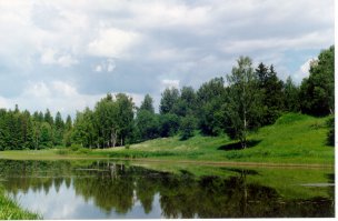 На траве роса переливается.
Журавли поют где-то вдали.
Вся в цвету черемуха склоняется,
 Плачут ивы, шепчут тополи.
Дятлов вкрадтчивые стуки рассыпаются,
Мудрый ворон дремлет на дубу.
Запахи цветущей липы развеваются,
И цветущий можжевельник весь в соку, 
Зеленеет мох на дереве порушенном,
Затерялся клен средь ясеней, дубов, 
И на пне, годами зим иссушенном,
Затерялся шум, живущих здесь лесов.
И по ветру синие колокола качаются,
Да осина словно первый дождь дрожит.
В незабудки пчелы ранние слетаются,
Лес шумит как будто говорит.
 Утро с песней соловья сливается,
Солнца луч сквозь ветви пробивается,
Царственных стволов  сосны касается,
Утро необычно начинается,
Чудесами леса наполняется. 
Взору нашему как будто сказка открывается,
И во всей красе природа нам является.
Лишь в таких лесах по-старому жизнь продолжается.