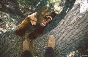 27  людей, у которых явно был день хуже, чем у тебя