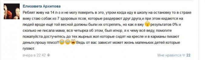 А как быть с такими стаями? Сочувствовать собачкам? Были неоднократные случаи нападения на детей.