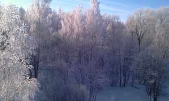 Мой вид из окна