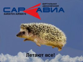 Ёжик из тумана