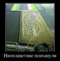 Таинственные круги на дне Восточно-Китайского моря