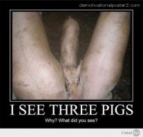 Не верь своим глазам: 37 забавных фото из серии "показалось"