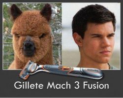 С Криштиану скорее так