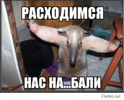 Рождённые в СССР