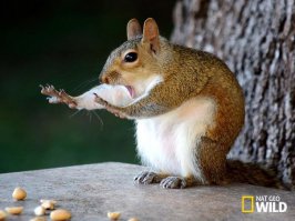 РАСХОДИМСЯ, НАС <span style='color:gray'>[мат]</span>