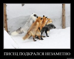 Вот несправделивость