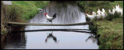 тоже ничего