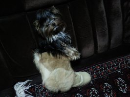 А у нас вот так было.