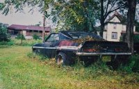 То березка, то рябина...