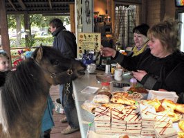 Баян, зато свой