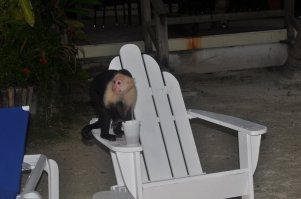 20 красивых фотографий дикой природы