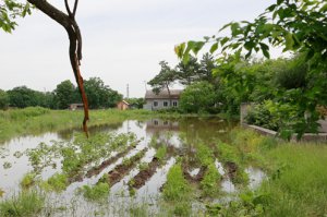 То-то он рад сюрпризу будет.