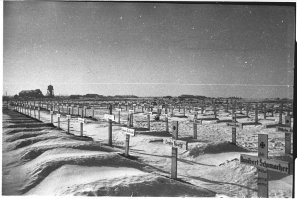 Видишь снайпера ? А он здесь есть и не один