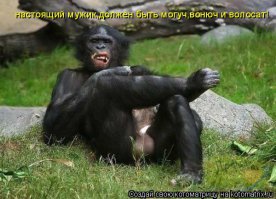 Да, нам, мужикам, согласен - попроще