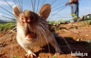 Фотоподборка за 18.01.2016