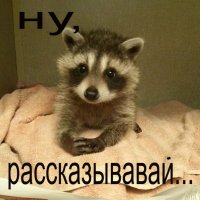 Откровенное селфи участницы реалити-шоу "Большие женщины" взорвало интернет