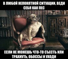 Смешные комментарии
