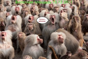 20 красивых фотографий дикой природы