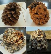 можно еще такие шишки-кормушки делать